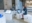 Trend Research & Cultural Insights
