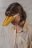master-design-new-materials-neb-collection-2