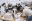 master-data-design-new-10