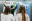 master-beyond-branding-12