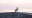 entre-redes-video-cover