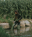transitions-02
