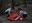 trustto-0