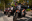 CAMS-05