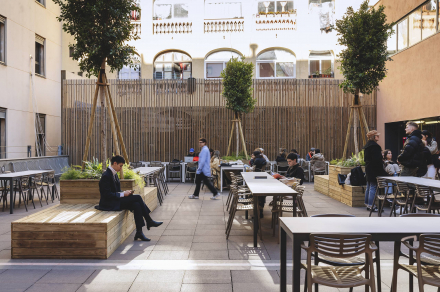 terraza