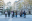 study-abroad-03