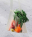 agro-01-(1920x2240)