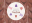 youcup-04