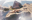eter-05