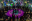 vibe-03