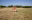 Camp-01