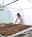 Seeds-02