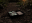 Rare-Heraldics-02