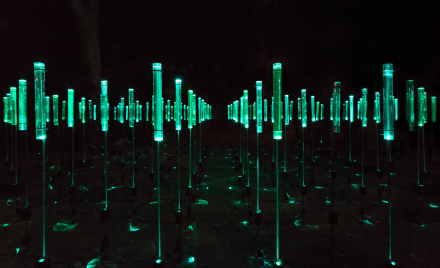 llum-01