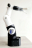 motus-03
