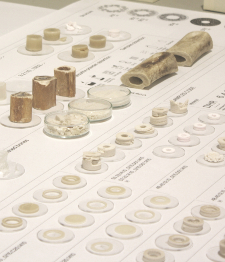 Phygital Human Bone