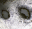 Elisava