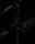 Festival Luminic 2024