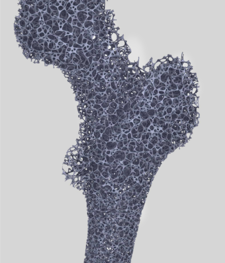 projecte Phygital Human Bone 2.0