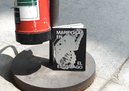 projecte Mariposas en el Estómago