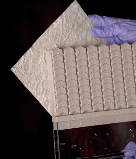 projecte Thor(No)Tech