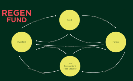 proyecto Regen Fund